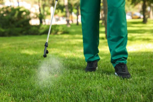 Best Mosquito Control Services  in New Madrid, MO
