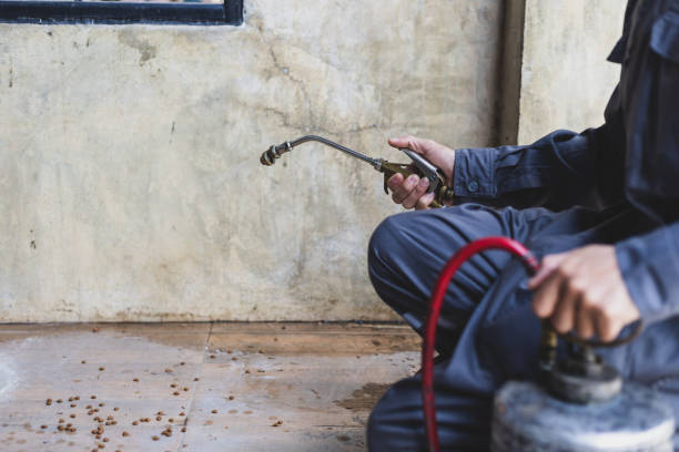 Best Commercial Pest Control Services  in New Madrid, MO